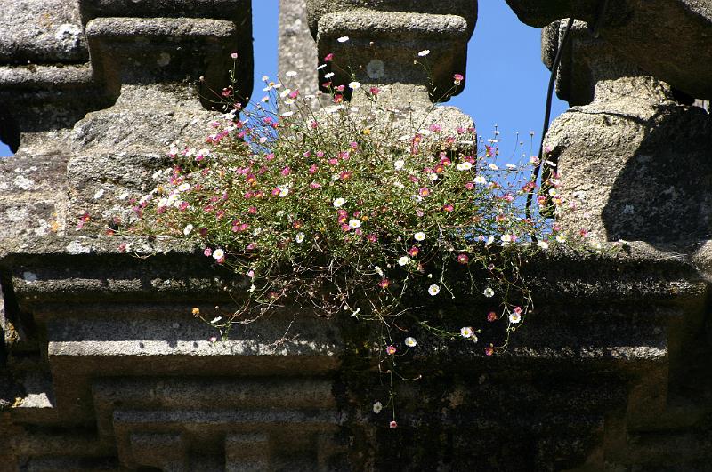 Bretagne (229).JPG